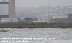 Canoe event on southern saltmarsh