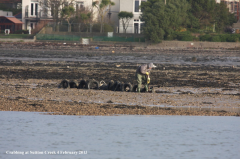 Crabbing