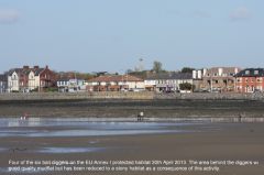 Bait digging southern mudflats